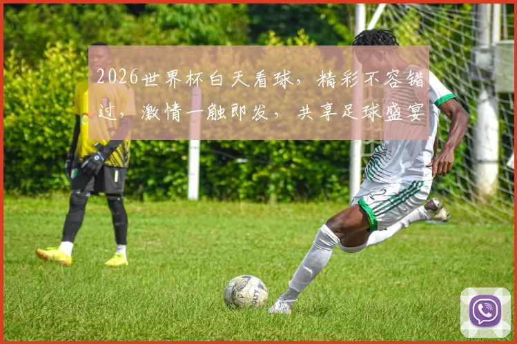 2026世界杯白天看球，精彩不容错过，激情一触即发，共享足球盛宴，尽享赛事狂欢